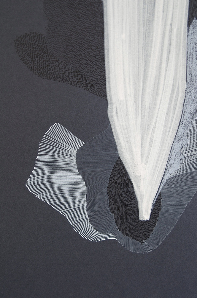 DESSIN ABYSSES ELSA BARBILLON