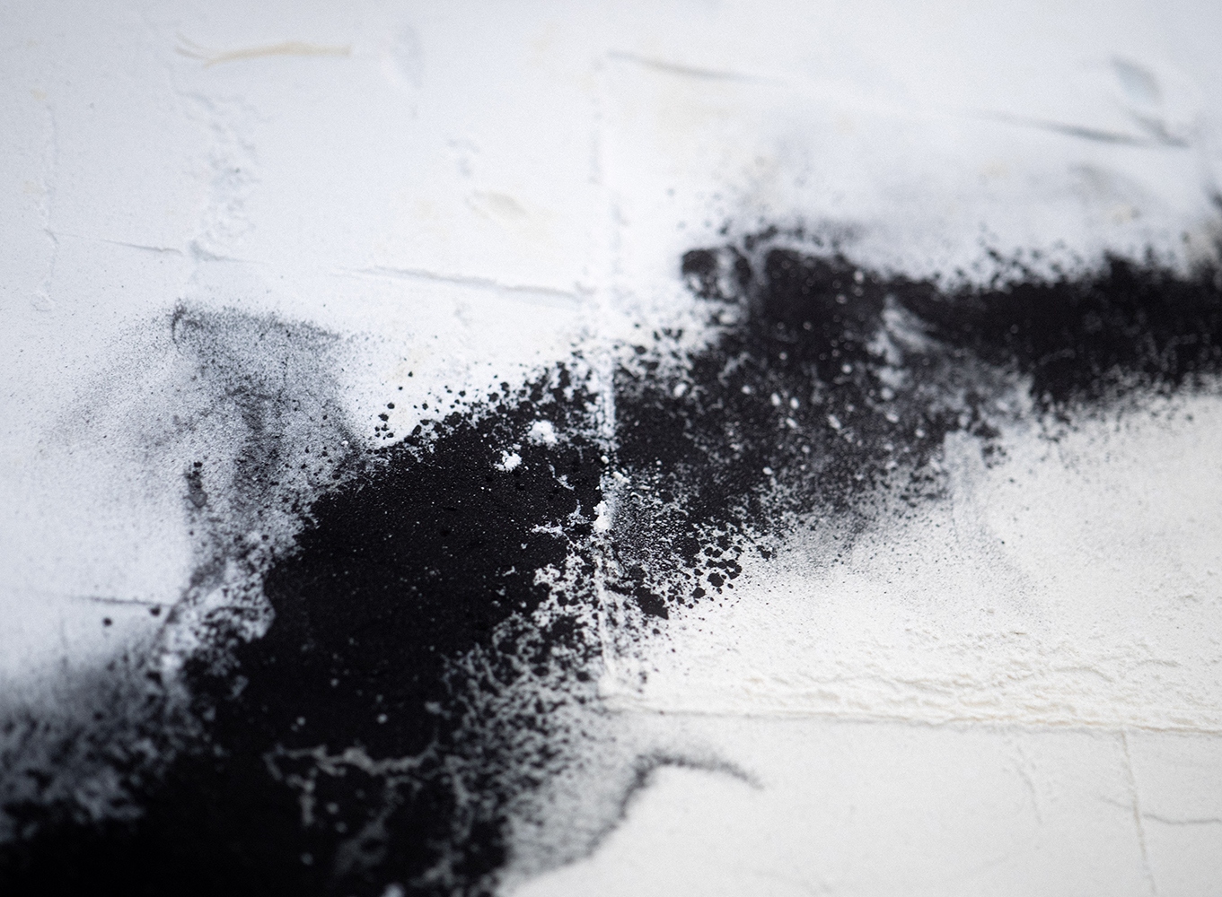  PERFORMANCE CELINE PELCE ELSA BARBILLON