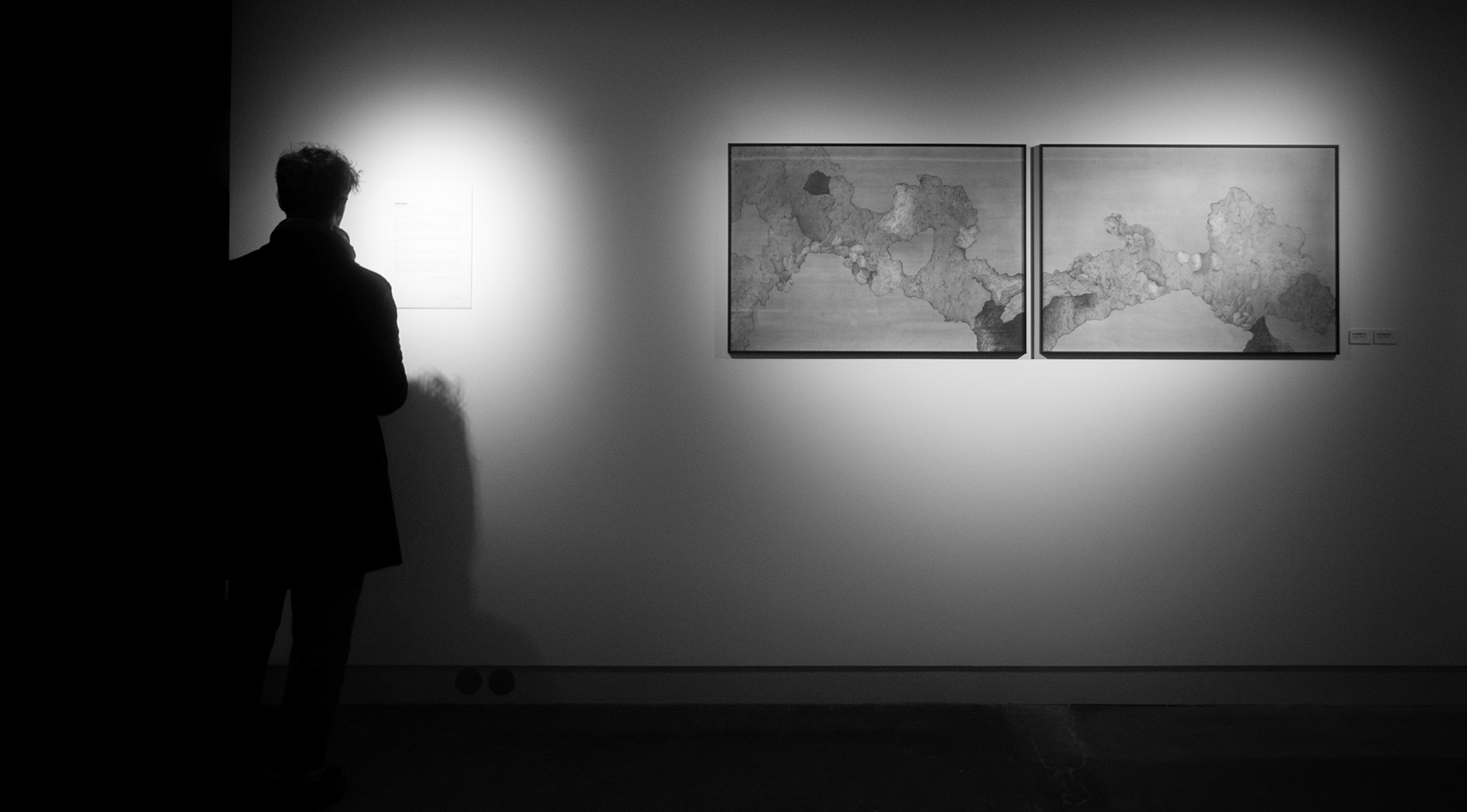 EXPOSITION GALERIE ELZEVIR ELSA BARBILLON