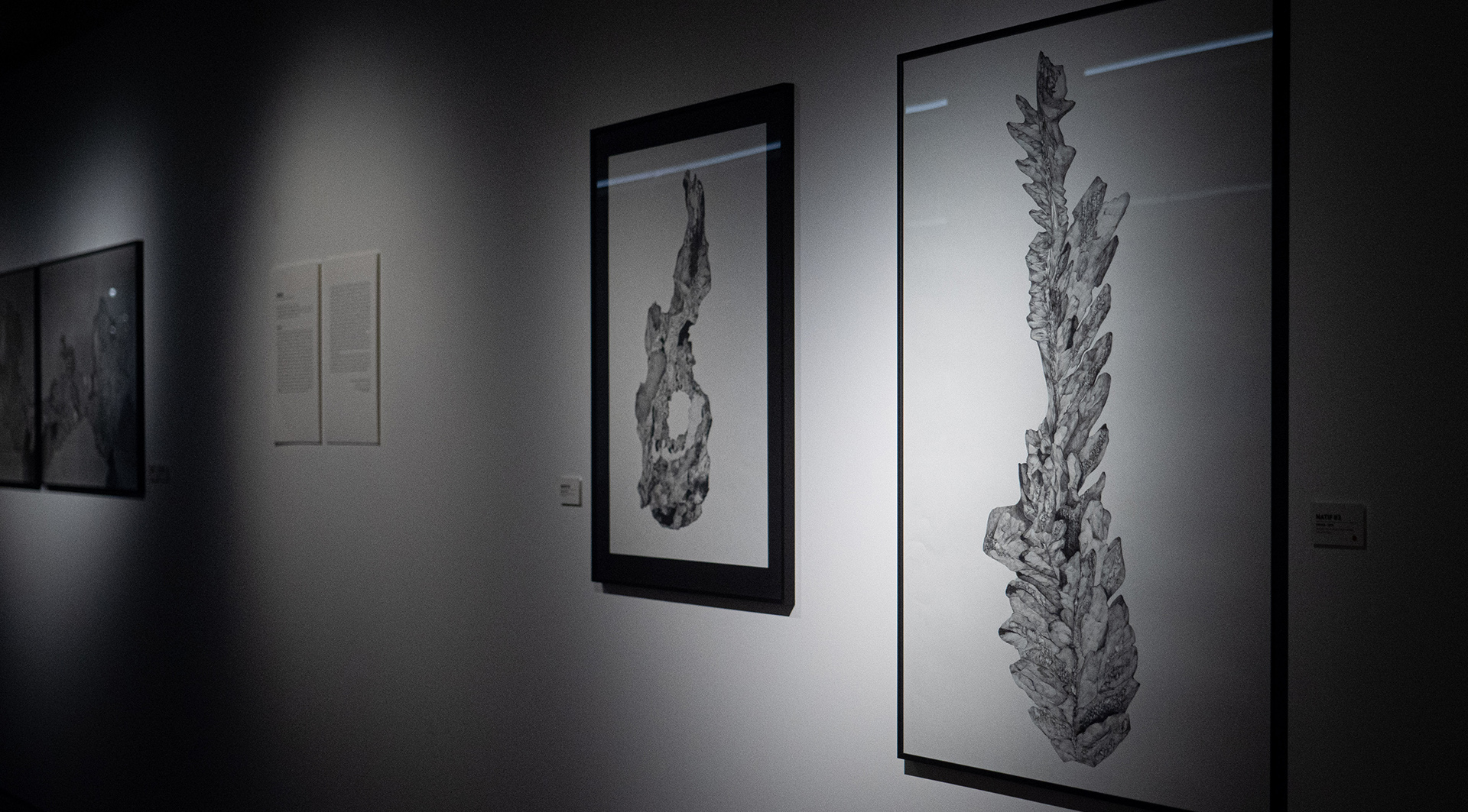 EXPOSITION GALERIE ELZEVIR ELSA BARBILLON