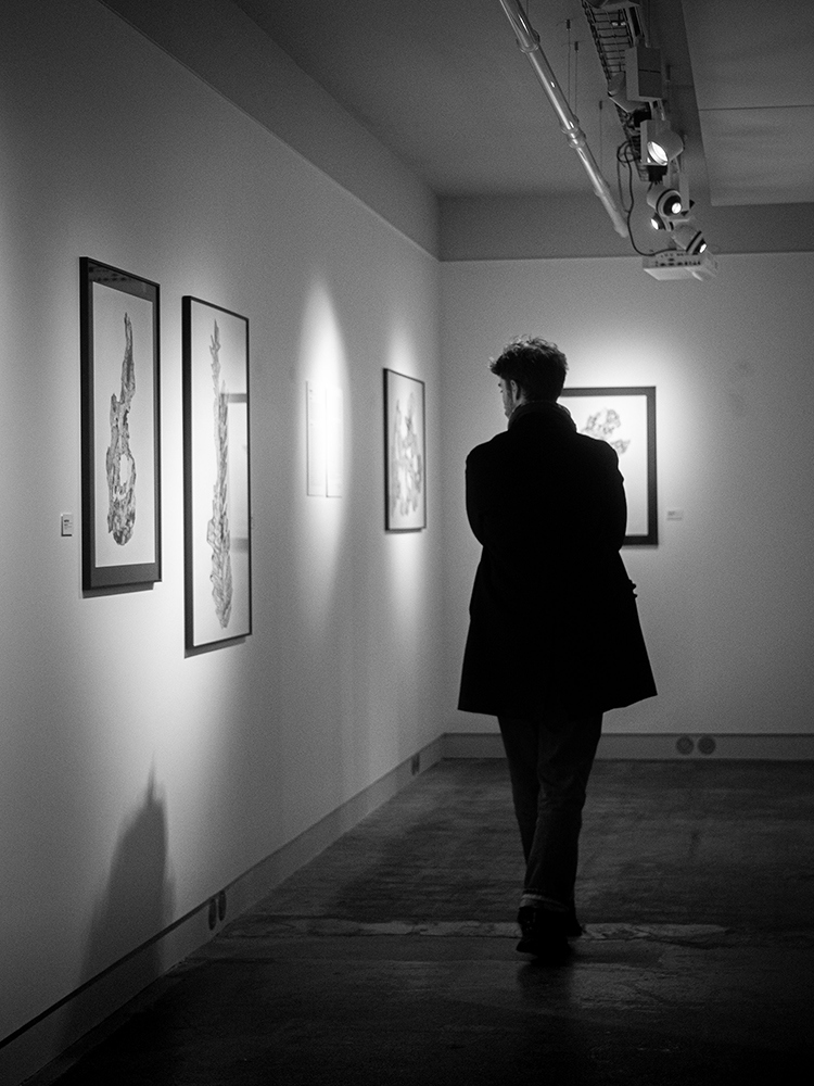 EXPOSITION GALERIE ELZEVIR ELSA BARBILLON