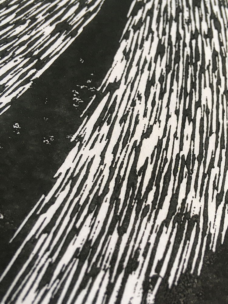  COMETES MICRO-EDITION ELSA BARBILLON