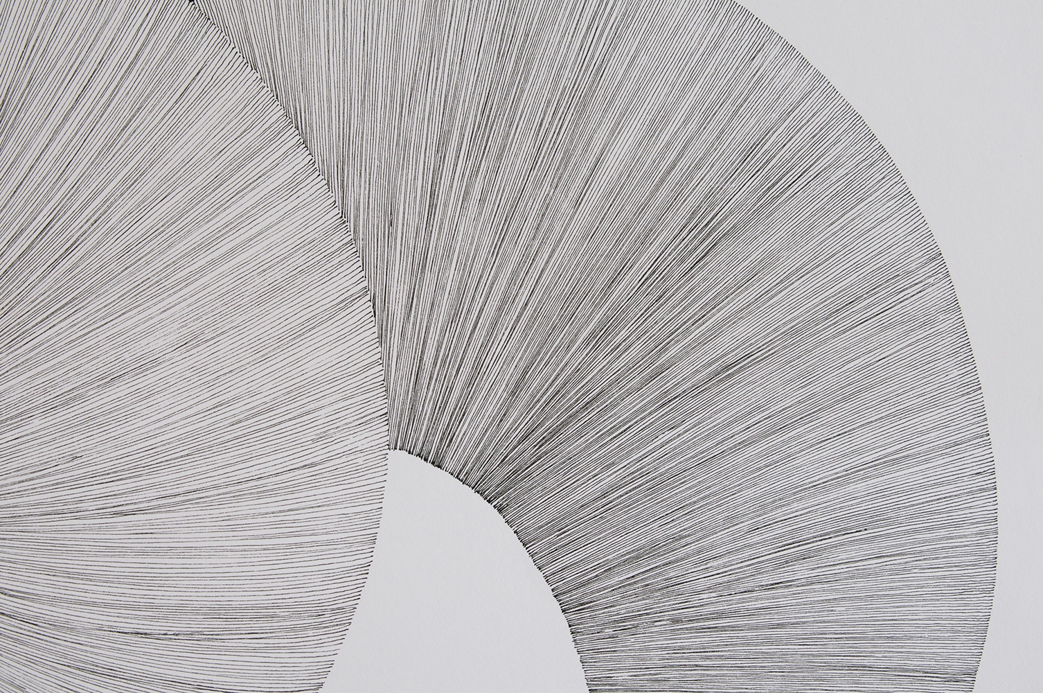  DESSIN NODUS ELSA BARBILLON