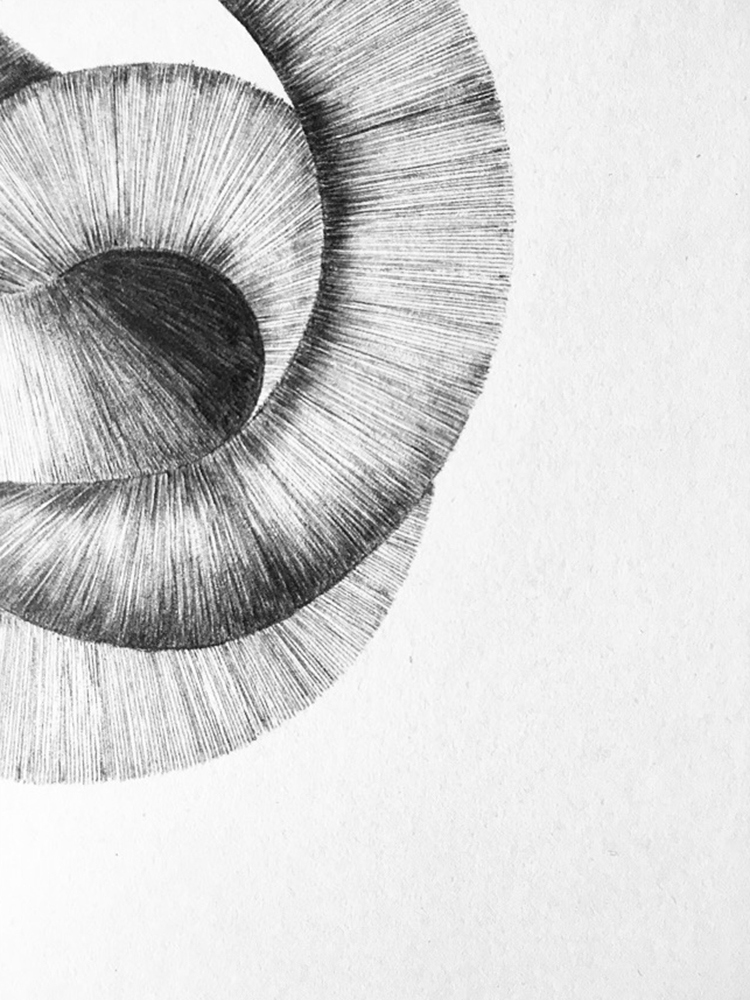 DESSIN NODUS ELSA BARBILLON