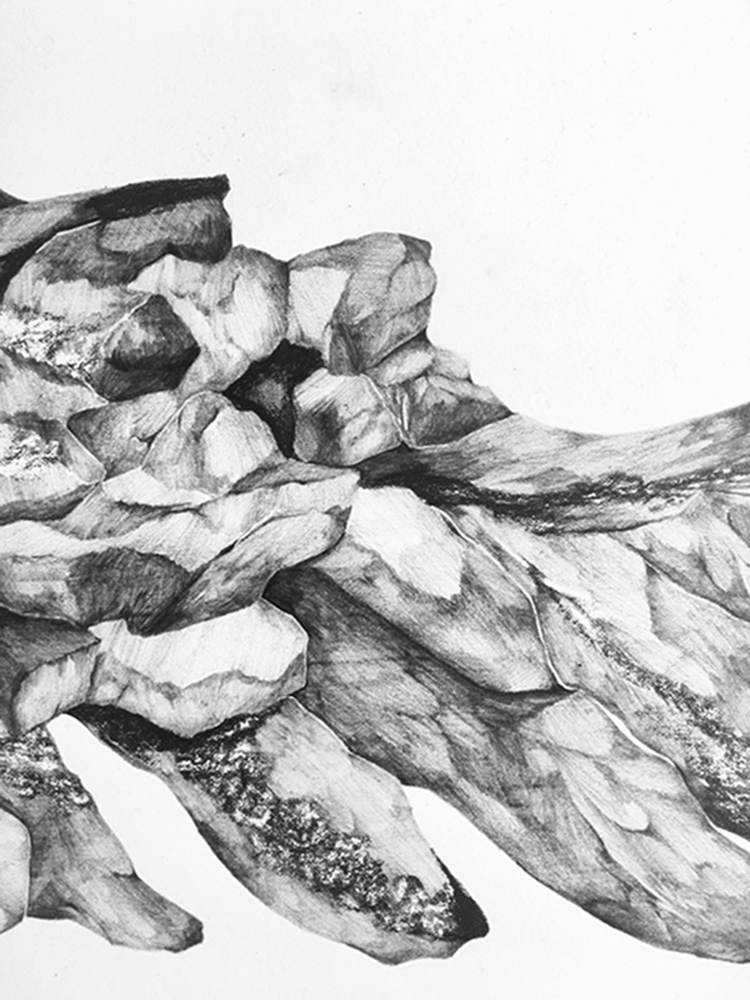 Dessin roches elsa barbillon