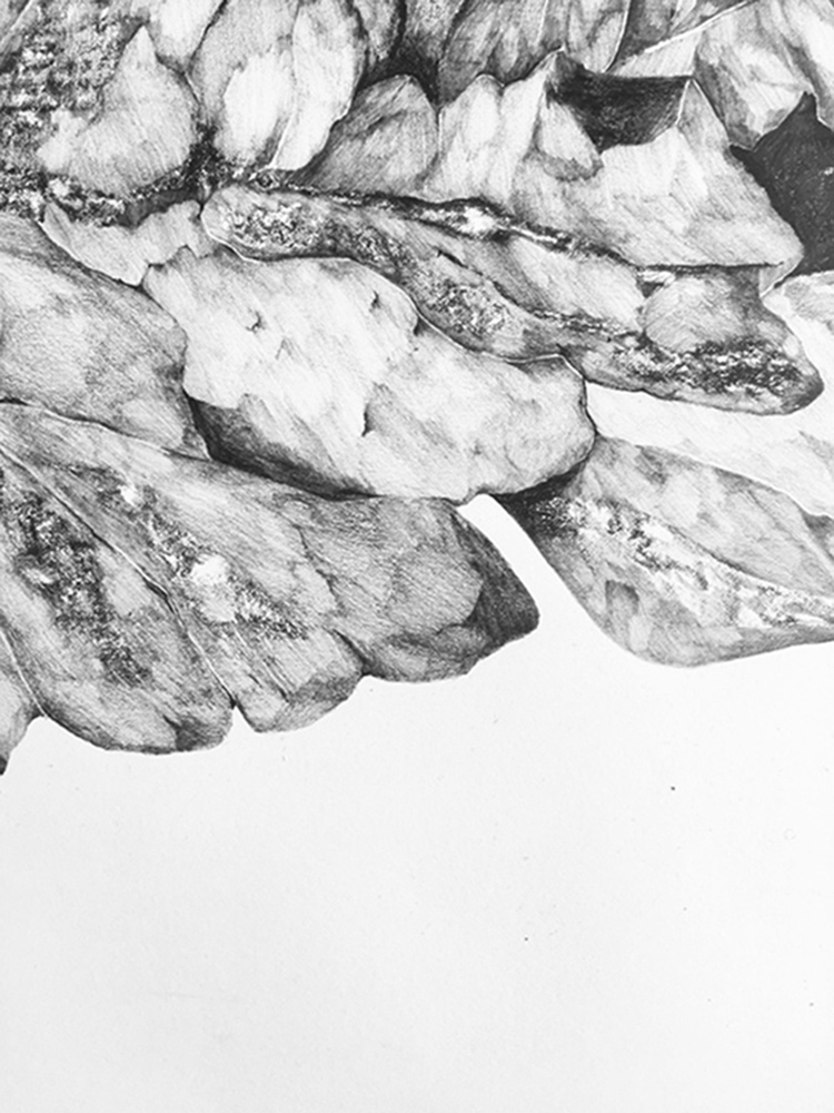 Dessin roches elsa barbillon