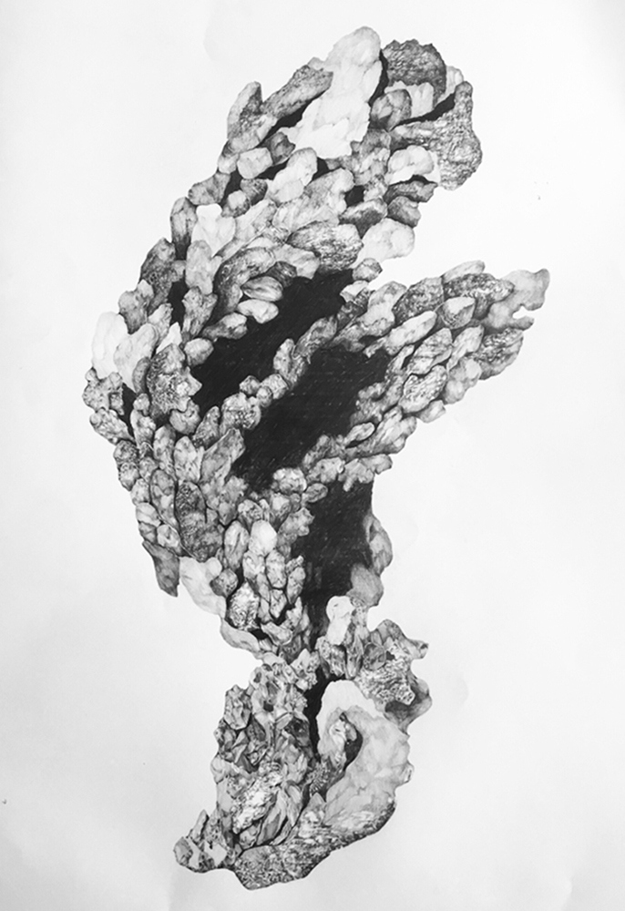 Dessin roches elsa barbillon