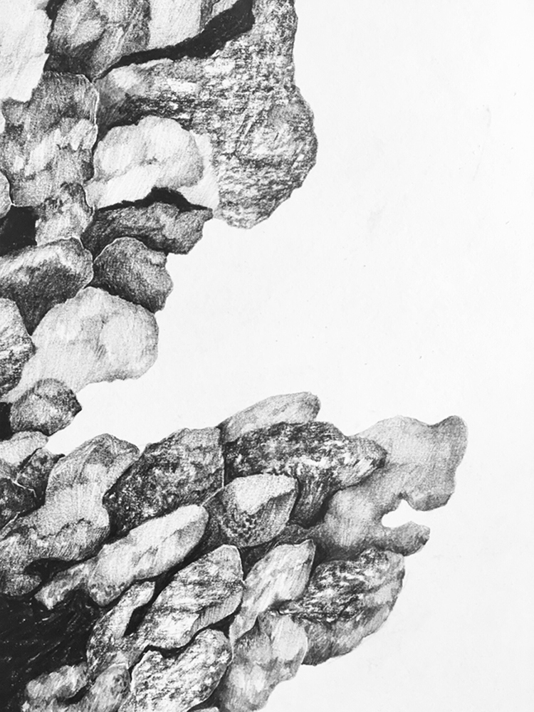 Dessin roches elsa barbillon