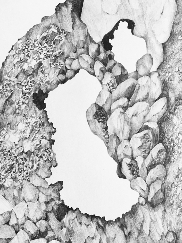 Dessin roches elsa barbillon