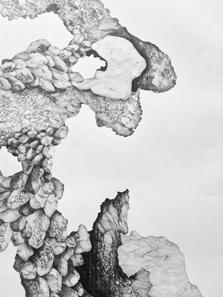 Dessin roches elsa barbillon