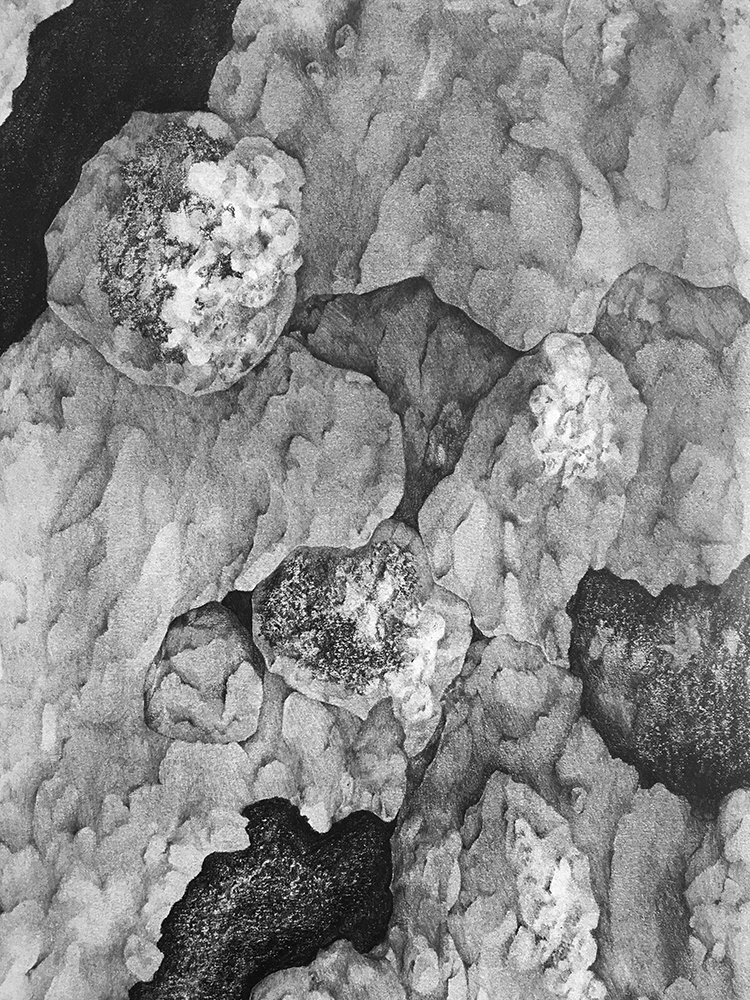 Dessin roches elsa barbillon