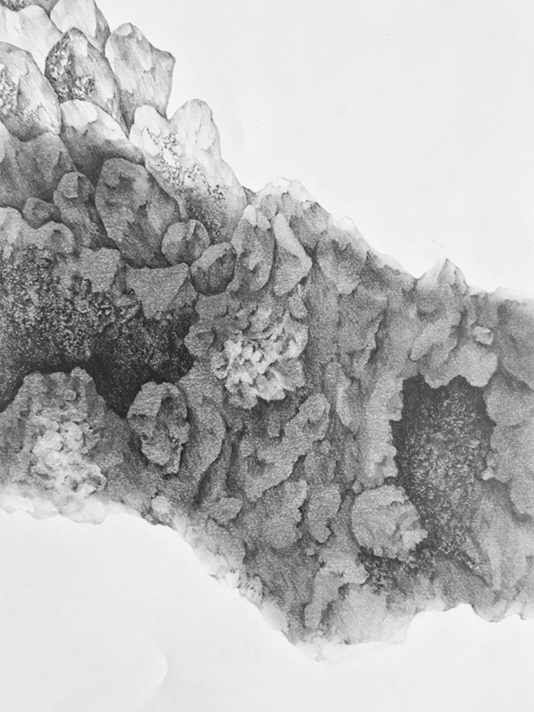 Dessin roches elsa barbillon