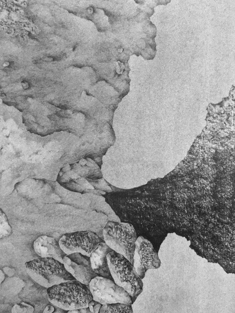 Dessin roches elsa barbillon